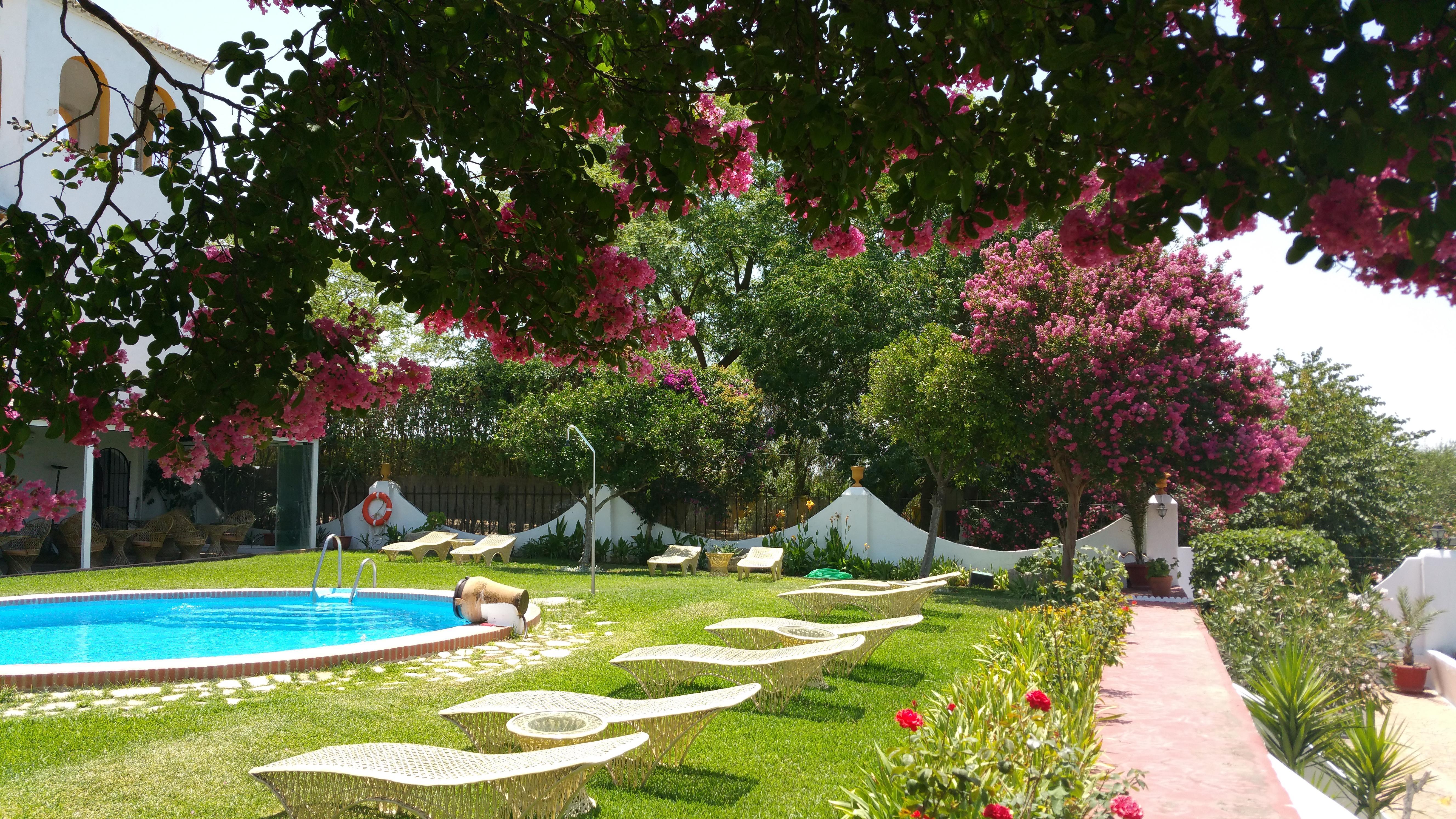Hacienda El Santiscal Adults Only Hotel Arcos de la Frontera Exterior photo